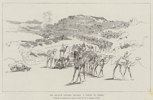 The Advance towards Dongola, a Convoy of Camels